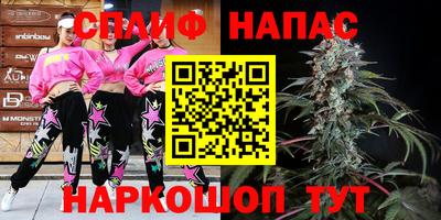 МДПВ Будённовск