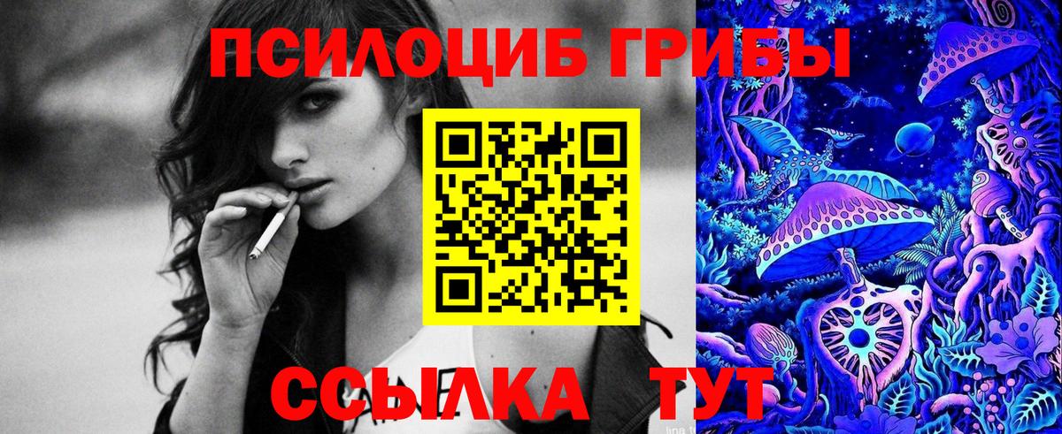 Тутаев  Галлюциногенные грибы GOLDEN TEACHER  Вход с VPN  Галлюциногенные грибы Psilocybe 